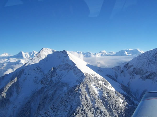 Buenos resultados de los deportistas navarros en los Nacionales de Mushing Nieve y Snowboard Cross
